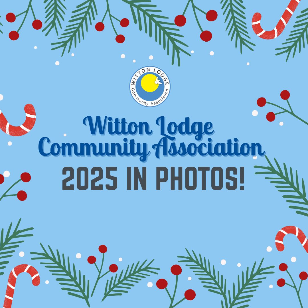 Featured image for “Celebrating a year of partnership, community energy and positive change at Witton Lodge Community Association”